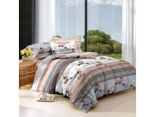 ������ ���� ������ (70208).jpg