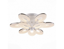 900.502.09 19900�.jpg