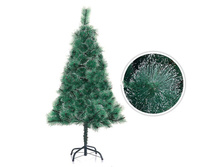 ����� �� ���������, � ����������.