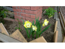 WP 20170527 09 52 09 Pro.jpg