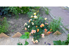 WP 20170716 18 39 46 Pro.jpg