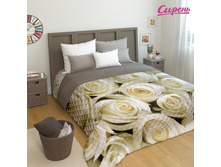 ����005-02331 "�������� ����"