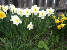 IMG 20170506 170754.jpg