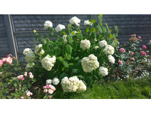 WP 20170819 14 47 58 Pro.jpg