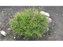 WP 20170514 16 33 21 Pro.jpg