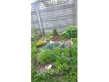 WP 20170811 16 52 30 Pro.jpg