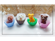 ����� � ������/��������, 50 ���