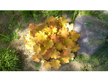 WP 20170628 10 56 58 Pro.jpg