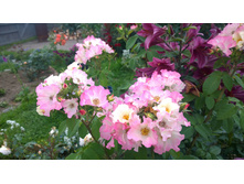 WP 20170811 16 31 16 Pro.jpg