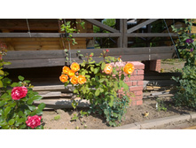 WP 20170820 09 39 15 Pro  highres.jpg