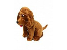 ���������� �������� ��� ����