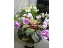 �-�������