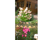 WP 20170914 09 56 04 Pro.jpg