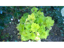 WP 20170811 16 50 58 Pro.jpg