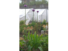 WP 20170527 09 49 36 Pro.jpg