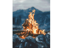 Org � ������ 38�48 Ag 355.jpg