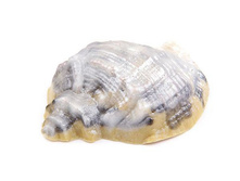 ���� ������ ������ "������� �����" 96,00 ���. ���: 80 �