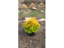 WP 20170514 16 31 27 Pro.jpg