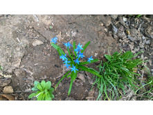 WP 20170502 18 42 23 Pro  highres.jpg