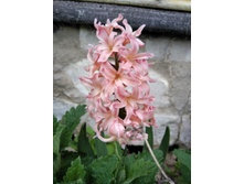 IMG 20170521 164403.jpg