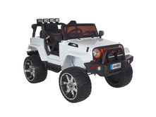 SHINE RING ������������� 12v12AH*1 (2.4G R/C, ���. EVA, 2 �����, USB � SD card), ����� ���: ��000047846 �������: SR888 ���, �� 29 �����, �3 0,395 13 381 ���.