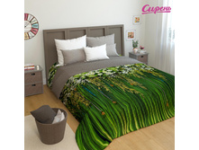 ����005-02799. ��������� "������"