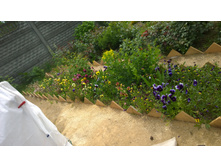 WP 20170627 12 11 19 Pro  highres.jpg