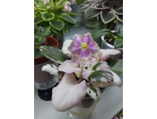 �-���������