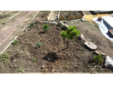 WP 20170423 13 11 58 Pro.jpg