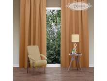 ���� �������