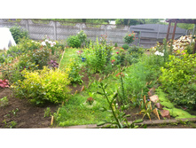 WP 20170705 12 56 26 Pro.jpg