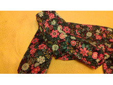 ������ 1.jpg