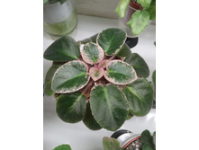 ��-������