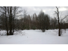 WP 20170224 12 53 57 Pro.jpg