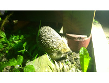 WP 20170729 21 52 18 Pro.jpg