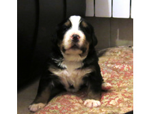 ���.���� 010.JPG