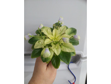 �-�������