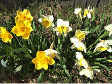 IMG 20170501 151902.jpg