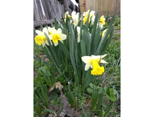 IMG 20170506 170804.jpg