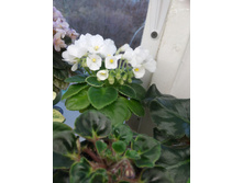 ��-������