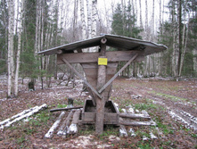 IMG 8100.JPG