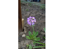 WP 20170514 16 28 23 Pro.jpg