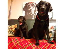 23434883 2384645521761131 806023955306288754 n.jpg