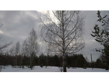 WP 20170224 12 54 32 Pro.jpg