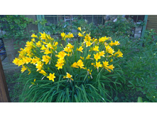 WP 20170626 12 48 22 Pro.jpg