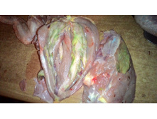 P 20171116 201548.jpg