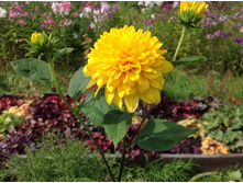 ��������� ��������