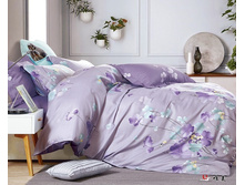 ������� 408..jpg