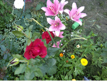 IMG 20170730 165535.jpg