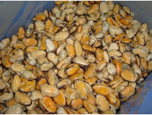 ���� ����� 100/200